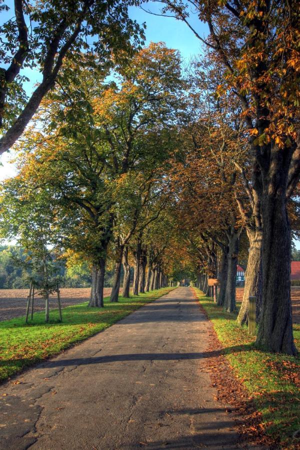 Schlosspark Hollwinkel Preußisch Oldendorf Екстериор снимка
